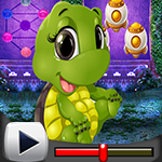 G4K Blissful Turtle Escape Game Walkthrough